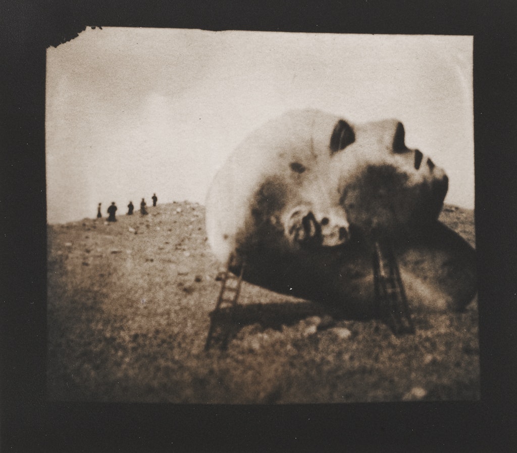 untitled from the Expedition Series