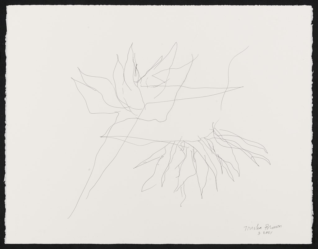 Untitled (First Flower Drawing Done by Foot)