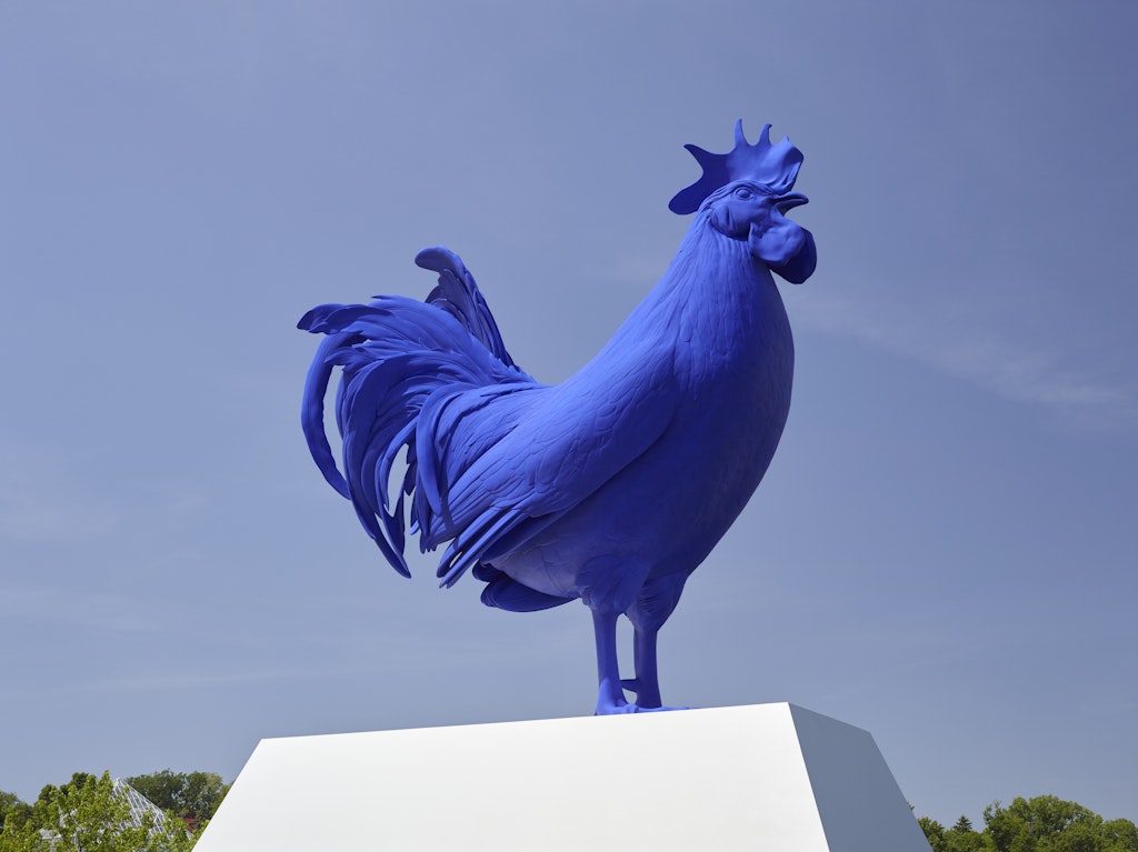 Hahn/Cock