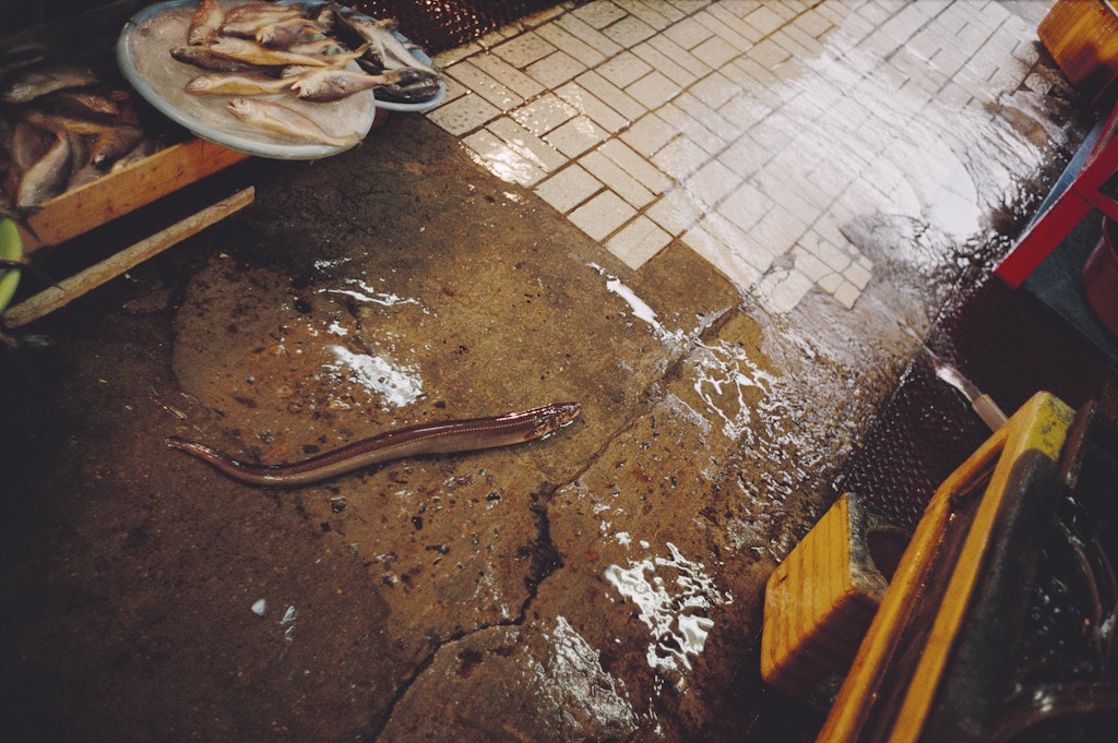 Chapter Four: Seventy in Seven from Fish Story