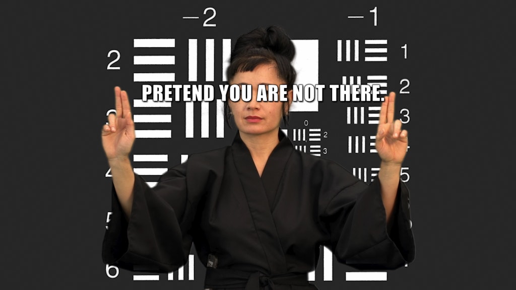 HOW NOT TO BE SEEN A Fucking Didactic Educational .Mov File