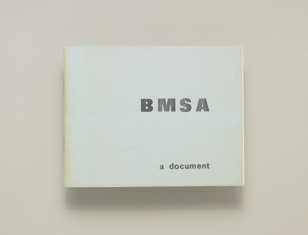 BMSA: a document