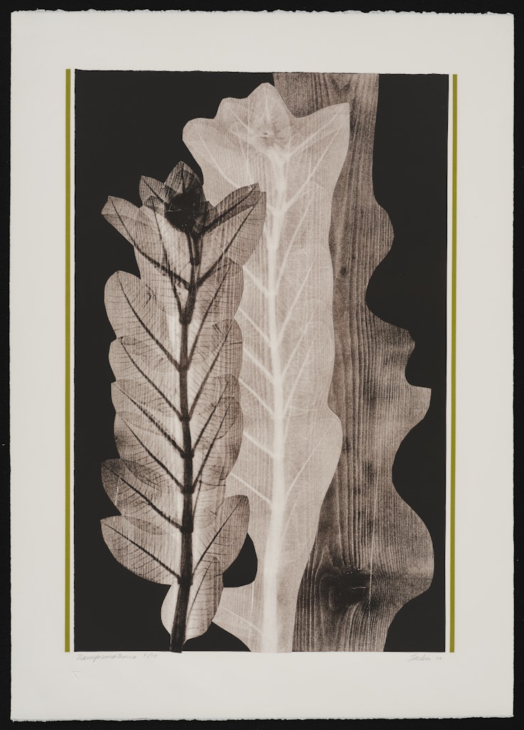 Transformations from Portfolio 15 (#12 in portfolio)