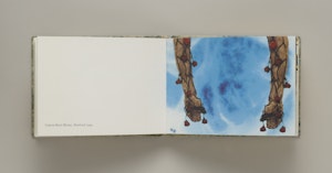 Kiki Smith's Dowry Book | Walker Art Center