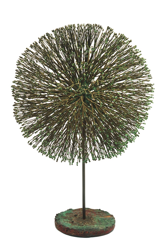Dogwood VII