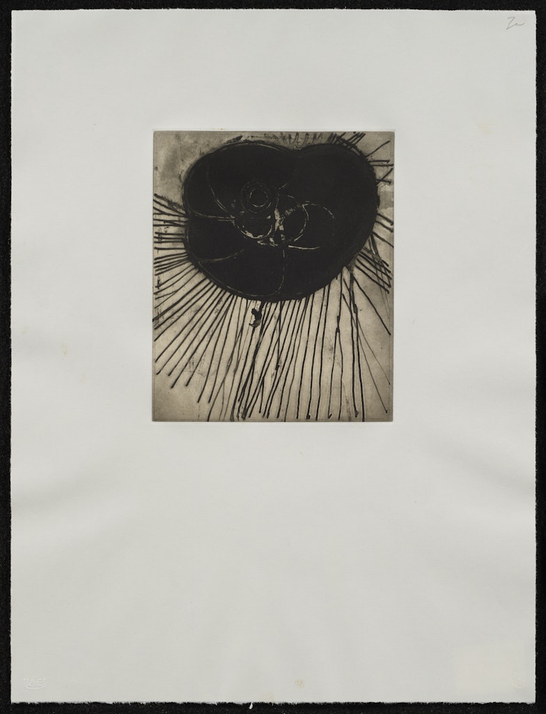 Fourteen Etchings