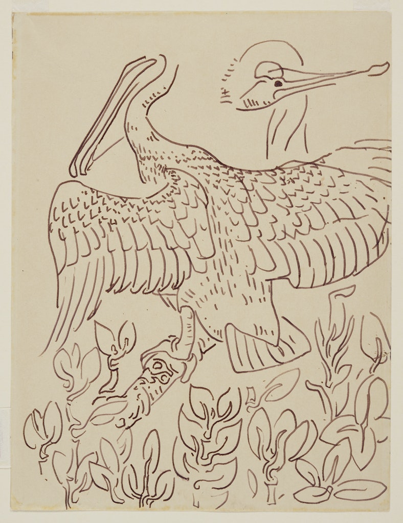 Pelican