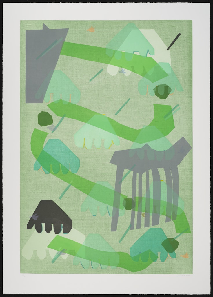 Forest and Shadow