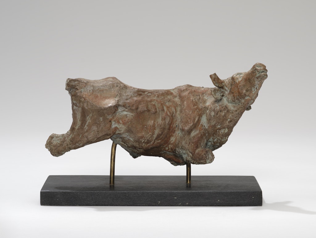 Bull Torso