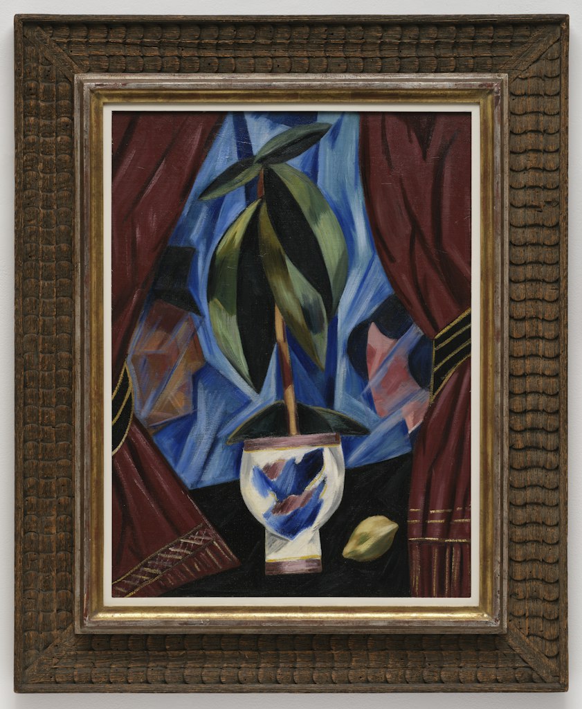 Still Life