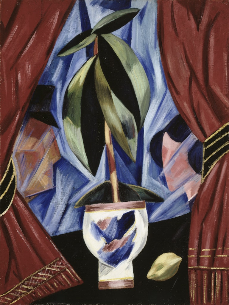 Still Life