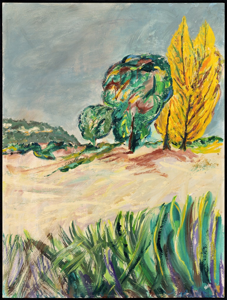Cape Cod Dune