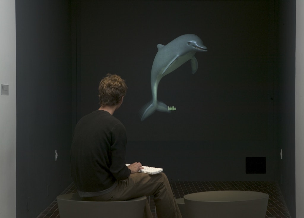 Dolphin Oracle II
